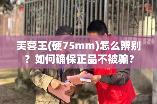芙蓉王(硬75mm)怎么辨别？如何确保正品不被骗？